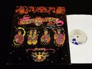 Concrete Blonde-Free-ORIGINAL 1989 US LP-NEAR MINT in Shrink w/Sticker