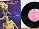 Dinosaur Jr - Feel The Pain 7