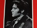 Elvis 