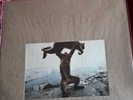 Shellac ?– Dude Incredible - LP/CD - NEW/SEALED