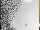 Wilco 