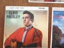 ELVIS 