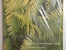 EDGAR FROESE EPSILON IN MALAYSIAN PALE 1975 IN SHRINK VIRGIN LABEL TANGERINE UK