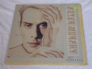 Peter Murphy ?– Love Hysteria LP Record + Inner 1988 w/ All Night Long PROMO EX
