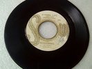BYRON LEE  & THE DRAGONAIRES - FRANKENSTEIN/ I WILL/ JA. SKA 45 ON SOUL/ HEAR