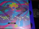 ECHO AND THE BUNNYMEN - Reverberation, LP 12