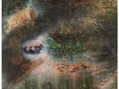 PINK FLOYD A Saucerful Of Secrets LP VINYL UK Columbia 1968 7 Track Stereo