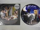 FALL OUT BOY INFINITY ON HIGH ISLAND B0008109-01 US Picture Vinyl LP