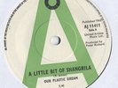 Our Plastic Dream A Little Bit Of Shangrila Encapsulated Marigold UK Psych 1967