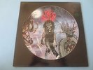 SLAYER Live Undead LP Orig 1985 Metal Blade Pic Picture Disc Rare Heavy Metal