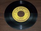 45 VINYL RECORD, ELVIS PRESLEY, GOOD ROCKIN TONIGHT, I DONT CARE IF THE SUN 210
