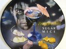 MARILLION  Sugar mice  12