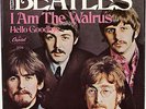 The Beatles HELLO GOODBYE USA picture sleeve only. M-