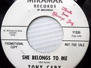 TONY CARY folk rock promo single-sided Bob Dylan 45 SHE BELONGS TO ME 2:40 JR124
