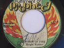 BRIGHT WYNTER - WORDS OF FIRE - FULFILMENT OF PROPHECY ( ROOTS REGGAE 7 )