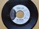 NORTHERN SOUL FUNK  45 THE ESQUIRES HOW COULD IT BE/I know I Can BUNKY 7