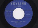 '60 Midwest Rockabilly BLANKENSHIP BROS That's Why I'm Blue SKYLINE 106 M- HEAR