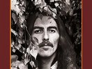 George Harrison - The Vinyl Collection 12