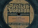 78tk-JAZZ-VOCALION 1206-Original Dixieland JASS Band- RARE/ historical**VERTICAL