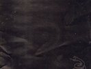 Metallica: Metallica (Black Album)  2 LP