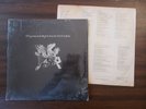 Jamie DeFrates Pegasus Inflight Florida folk psych on Sweet Appaloosa
