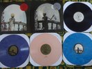 The Grateful Dead-