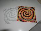 the love of the hopeless causes vinyl lp New Model Army