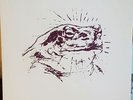 Bardo Pond Bufo Alvarius LP record reissue drone shoegaze ambient psychedelic