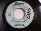 DAVID and The Diversified Sounds RARE garage VINYL / LITTLE BOY BLUE / 45 R.P.M.