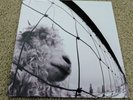 Pearl Jam - Vs. [Vinyl] Lp Record