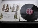 Sibelius Violin Concerto Oistrakh Philips HI-FI Stereo ED1 SABL 195 Rare UK LP