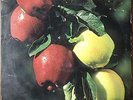 rare pop sike lp - WASHINGTON APPLES - FRESH COUNTRY APPLES - 1970 - DELICIOUS