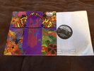 RARE  The Tiffany Shade-Self Titled-1968 UK FONTANA STL 5469 Psych/Fuzz Lp NM