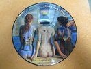 PINK FLOYD RARE BEAUTIES LP PICTURE DISC RARE NEAR MINT