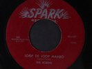 ROBINS : Loop De Loop Mambo 45 Vocal Groups