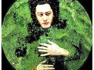 Fantasie Militaire [Analog] Alain Bashung LP Record