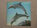 Orange Juice-You Can't Hide Your Love Forever UK LP Polydor POLS1057 VG+/VG-