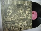 JETHRO TULL 