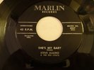 Miami's Steve Alaimo 45 record She's My Baby, I Should Care
