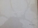 beatles white album