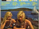 RARE THE BEACH BOYS 