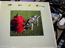RUSH GRACE UNDER SIGNALS ORIG 12' HONG KONG UK COLONY 1982 MERCURY LP EX/EX
