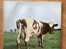 Pink Floyd - Atom Heart Mother A-1G/B-1G No EMI UK SHVL 781