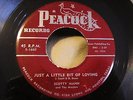 SCOTTY MANN Just a Little Bit Of Loving / The Mystery Man R&B Rock VG+ Orig.
