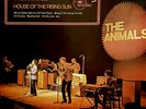 The Animals 