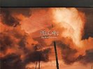 PELICAN - what we all come to need LP
