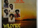 Wildfire 