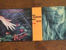 Two Ministry Albums - With Symphony & Twitch