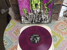 Misfits ?Earth A.D. Wolfs Blood LP RARE 1983 PURPLE VINYL 1ST PRESS NM Danzig
