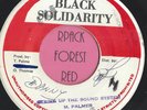 MICHAEL PALMER -  String Up The Sound System - BLACK SOLIDARITY  -   Reggae  7